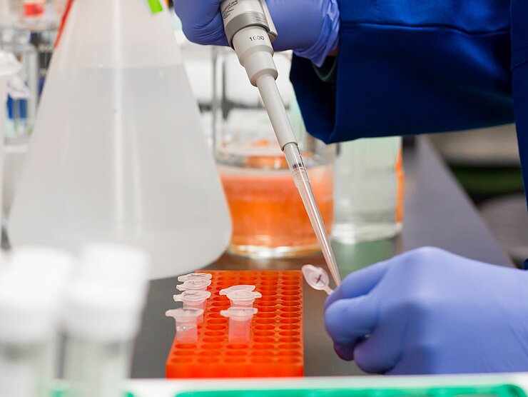 Pipettieren in Eppendorfgefäß Ein ensch pipettiert etwas in ein Eppendorfgefäß.
